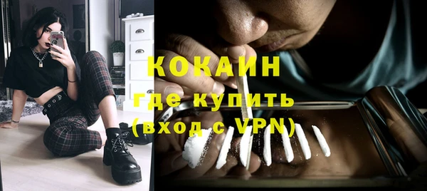 СК Коряжма