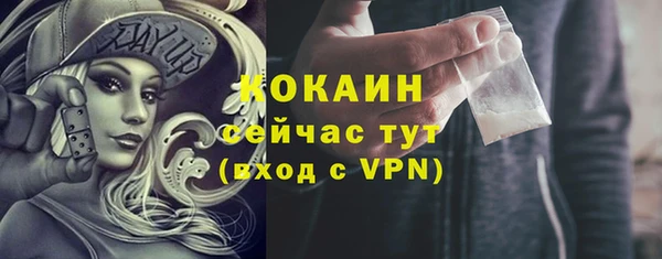 мяу мяу мука Кодинск