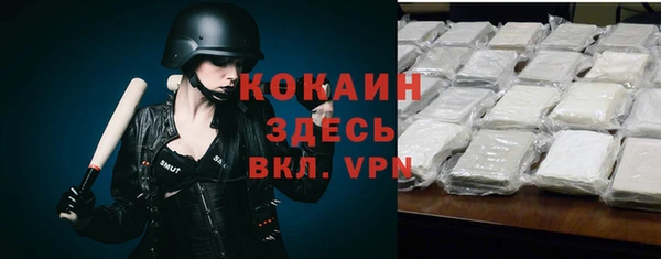 прущие крисы Корсаков