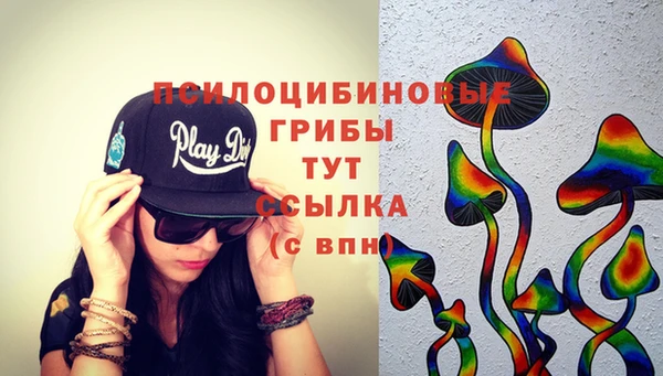 спайс Козловка