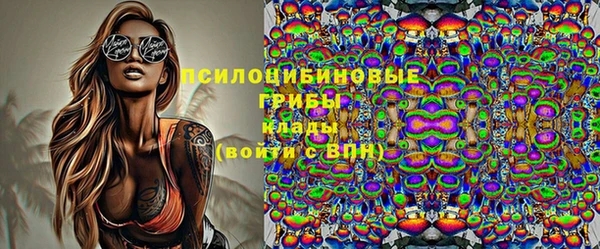 прущие крисы Корсаков