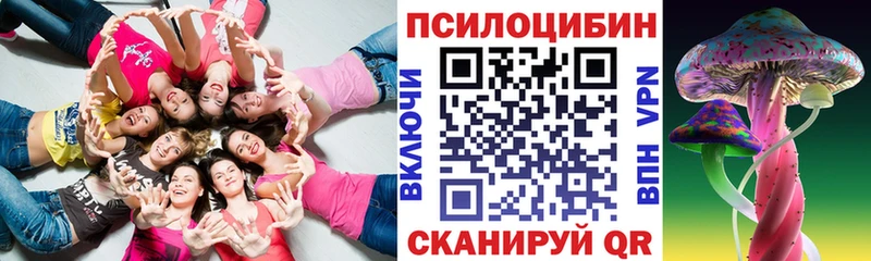 Псилоцибиновые грибы Psilocybine cubensis  купить   Малгобек 