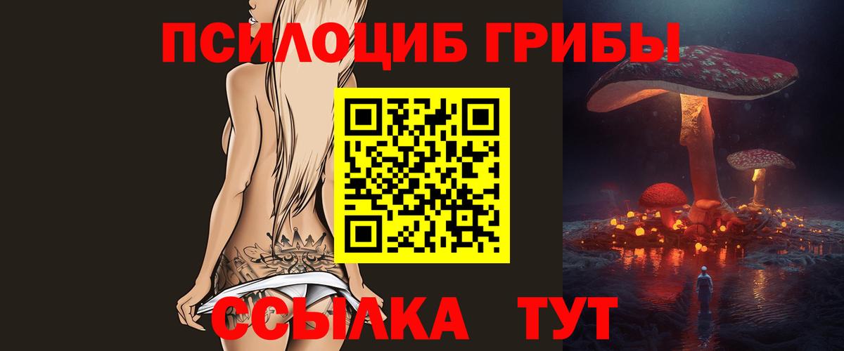Псилоцибиновые грибы мухоморы  купить  цена  Малгобек  Вход с VPN 